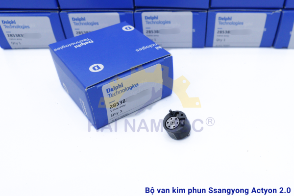 Bộ Van Kim Phun Delphi Ssangyong Actyon 2.0 - Hình ảnh 3